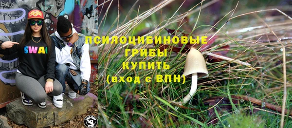 МДПВ Абаза