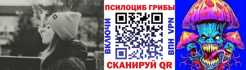 Псилоцибиновые грибы Magic Shrooms  наркотики  Балахна 